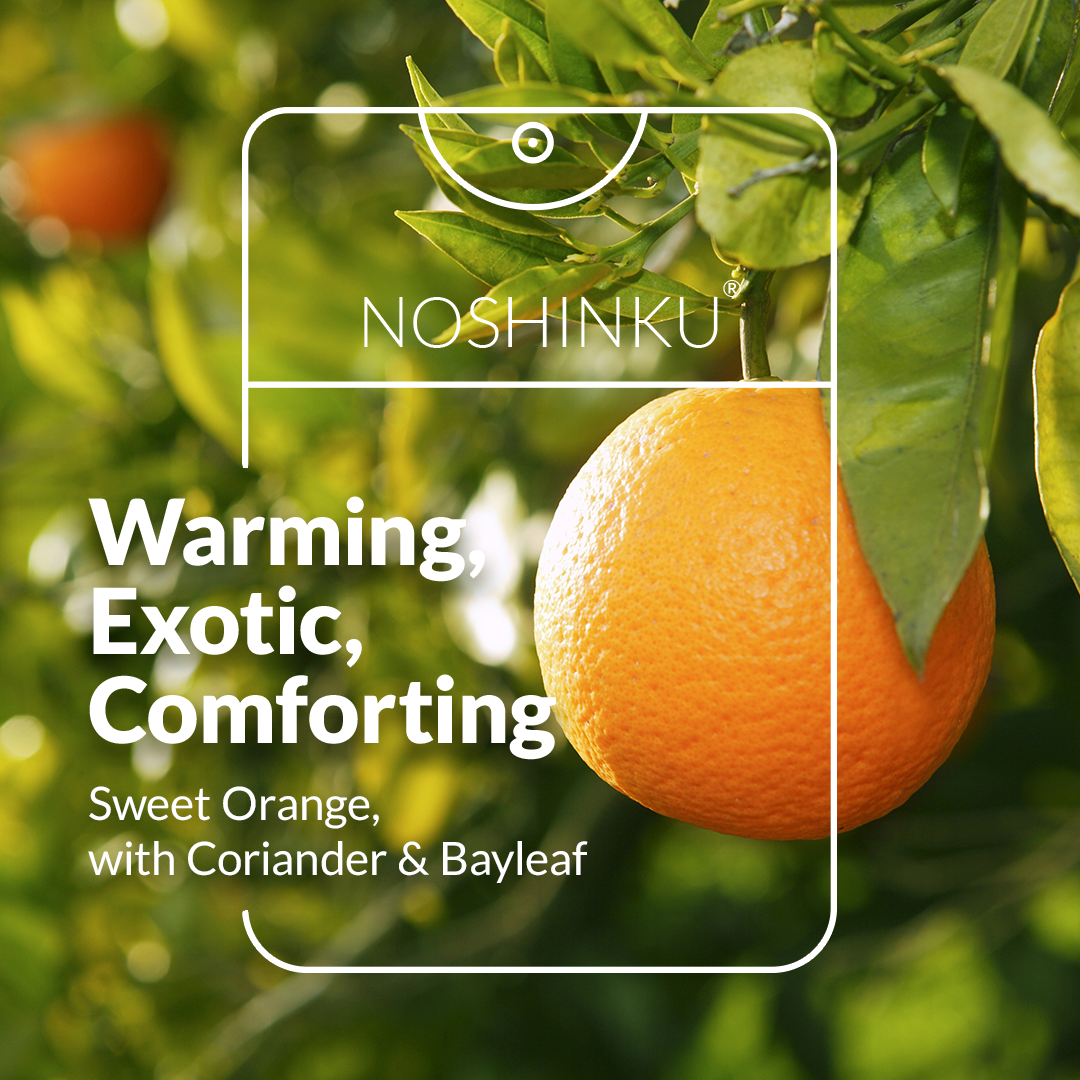 Orange - Coriander Moisturizing Sanitizer Mini Refill Pouch