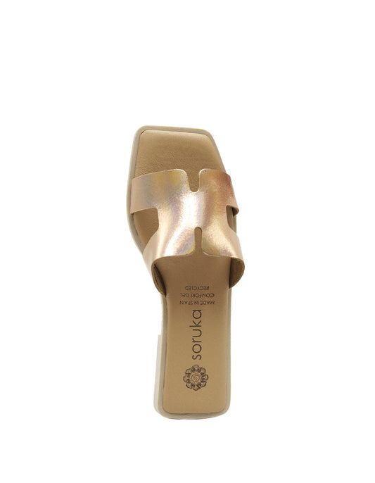 Soruka DAPHNE Slides