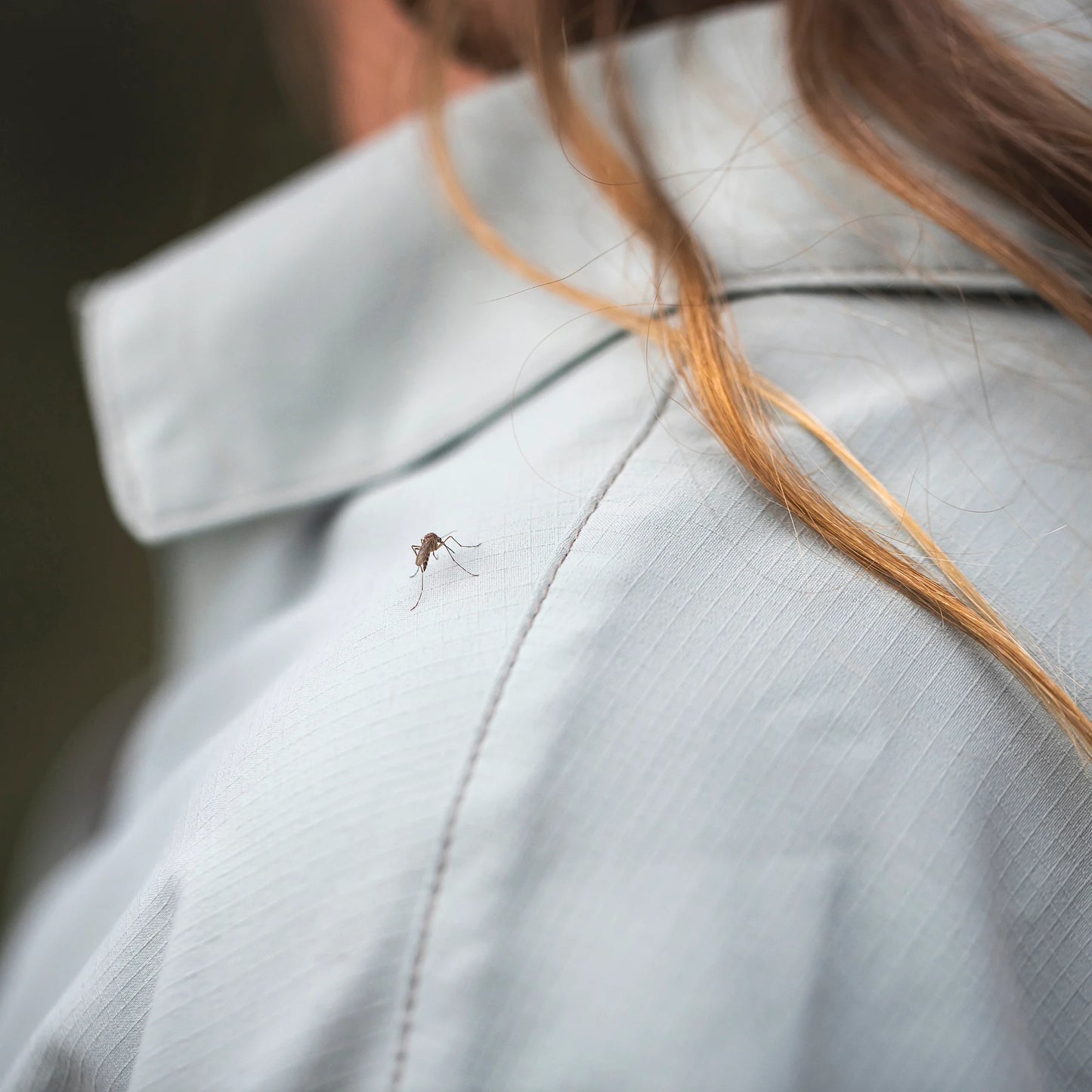 Royal Robbins Women's Expedition III L/S Shirt, Style #Y14600127