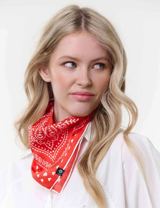 FRAAS Silk Paisley Print Neckie Gift Set