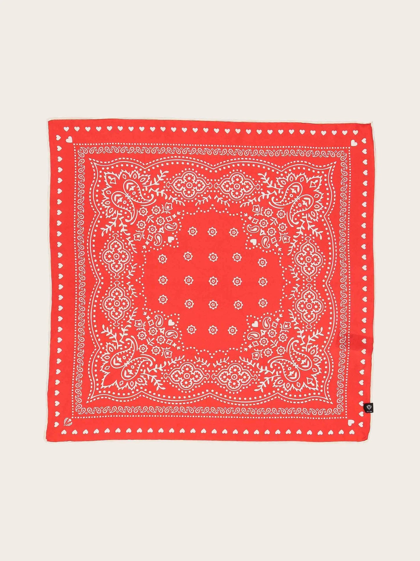 FRAAS Silk Paisley Print Neckie Gift Set