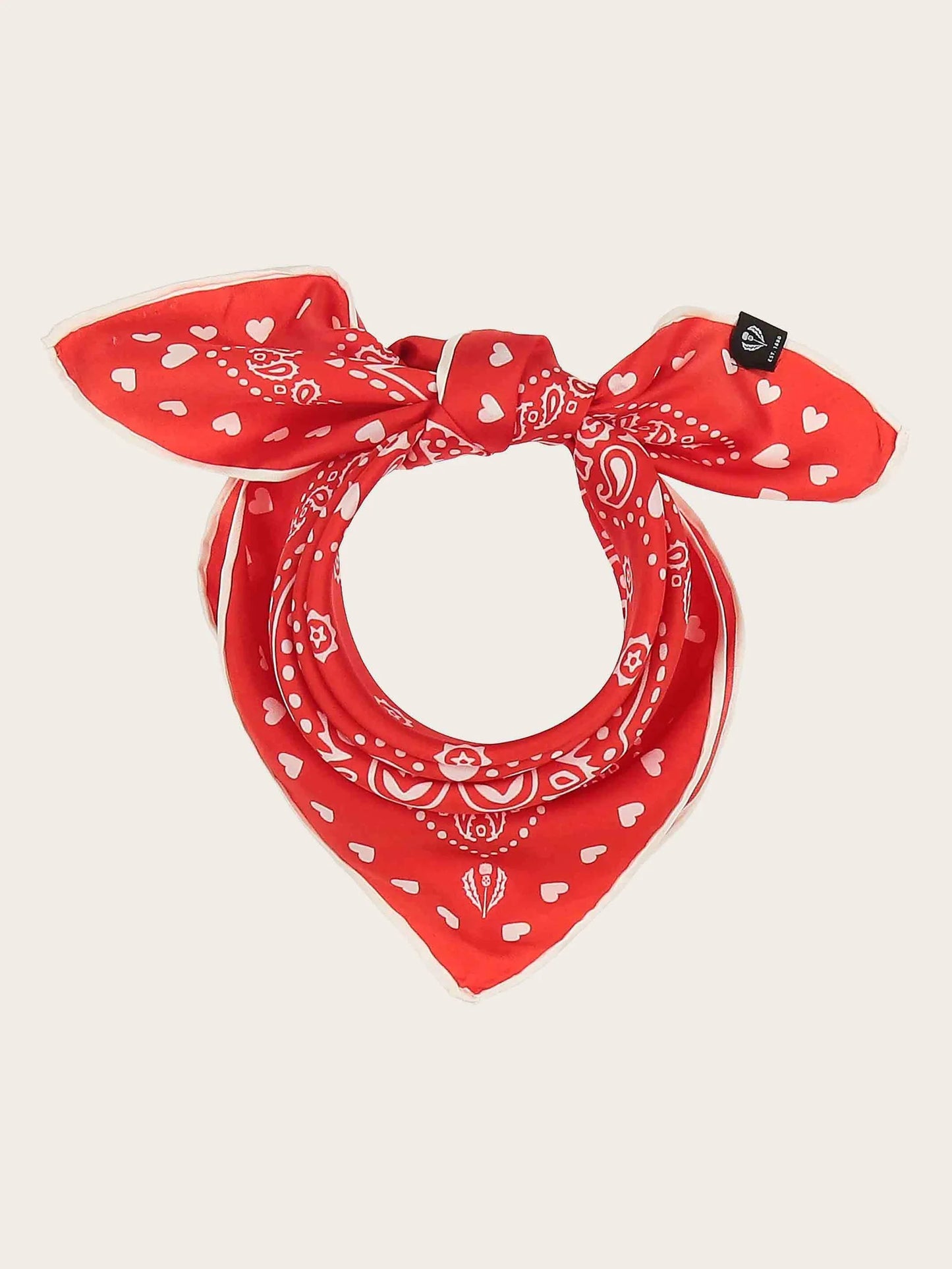 FRAAS Silk Paisley Print Neckie Gift Set