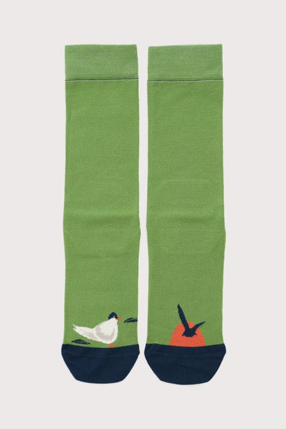 Seasalt Men's Everyday Socks, Style #AC14793